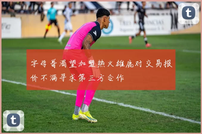 字母哥渴望加盟热火雄鹿对交易报价不满寻求第三方合作